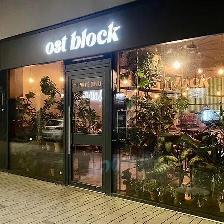 Apartment Historical Beer - Stein *